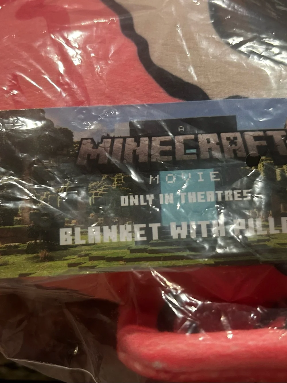 Minecraft Blanket and pillow…straight from CinemaCon 2026 - Pink and Beige